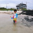 세븐일레븐서귀포표선리시온점 | 제주 40일 살이 견문록_⑪제주 동쪽 해수욕장_해수욕장별 특징