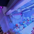 더 플레이(The play) 이미지