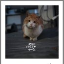 알파문구부산 네이버블로그