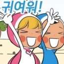 더귀여워 Daum카페