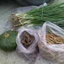 병현농장 이미지