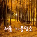 한복열공인중개사사무소 | &#39;서울 가을 감성 명소&#39;