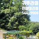 흥국유치원