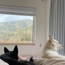 힐링민박 이미지