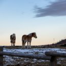 하늘목장 이미지