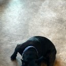 꾸꾸하우스 이미지