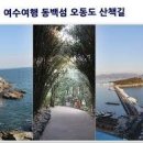 여수 가볼만한곳 오동도 바다 동백꽃 섬여행 이미지