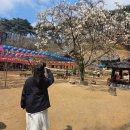 용현목장 | 충남 서산 가볼 만한 곳 BEST 4 - 마애여래삼존상, 문수사, 해미읍성, 서산 동부전통시장