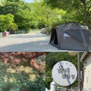 올래올래 | 유명산캠핑장 어비계곡캠핑장 추천, 힐링 제대로 한 올래캠핑장 후기