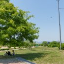 영산강 대상공원 주차장 이미지