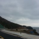 동백관광농원