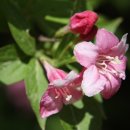 거북공원-2　 이미지