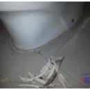 119화장실 이미지