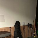 골프존파크 공덕역점 이미지