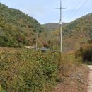 명당 태양광발전소 이미지