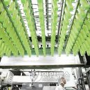 세븐일레븐(화곡중앙) 이미지