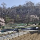 문숙농장 이미지