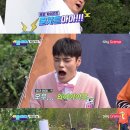 위플레이