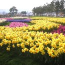 자연과 함께하는 하룻밤 이미지