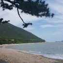 금장해수욕장 이미지