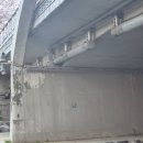 오마이갓돈 | 4월 일기. 판교 벚꽃구경 / 사당 에스테틱 더물오름 / 혜화 연극 오마이갓 후기