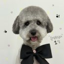 멍발소 하우스 이미지