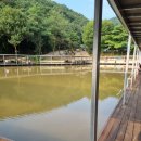 비봉 낚시터 이미지