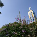 태평동성당 이미지