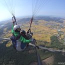 황금들녁 이미지