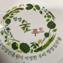 곰취 야생재배 이미지