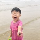 구례포 야영장 | 태안 구례포 중앙야영장 이용후기