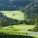 뉴스프링빌2 이미지