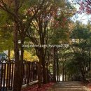 한마음점자 이미지