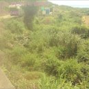 남해-293 이미지