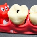 튼튼내이사랑치과의원 이미지