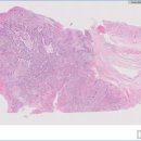 천안동물의료센터 24시 이미지