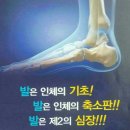 봉영로1770번길 이미지