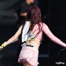 올해 워터밤에서 못봐서 아쉬운 前시그니처 지원 이미지