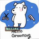 헬로우 그루밍 이미지