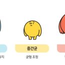 올웨이즈 휘트니스 안중점 이미지