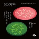 미나 이미지