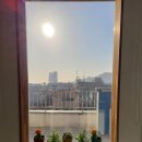 빅오쇼 게스트하우스 이미지