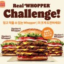 신기먹방 이미지