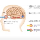 사라안경 이미지