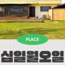 함께할 개 이미지