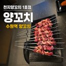 맛나꼬치네 | 수원역 양꼬치는? "천지양꼬치 1호점으로" [수원역 주차장 술집, 수원역 모임 추천]