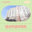 향촌주공101동앞 | 국민임대주택 예비입주자 거주 후기 | 광주광역시 북구 하서로229번길 57(양산동,양산주공아파트, 101동)