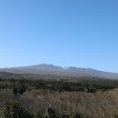 제주종합경기장 이미지