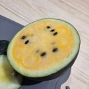 (주)안산메드 | 5월 기록