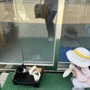 영흥빌라 | 4살 아기와 여름휴가 인천 옹진군 영흥도 개인풀빌라 ann299 추천! 영흥대교 뷰 B 3-2 객실이용 후기